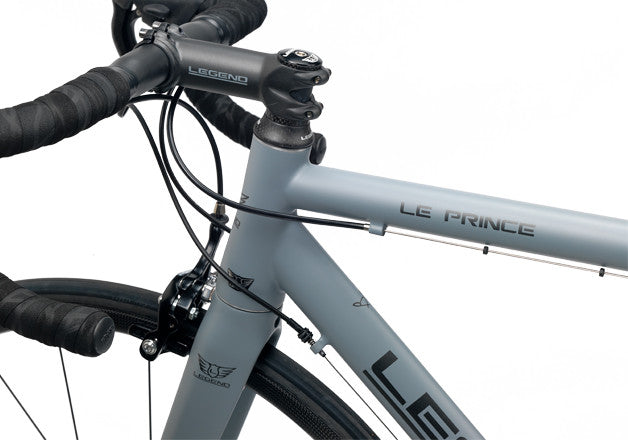 Legend by Marco Bertoletti - 'Le Prince' Bespoke Built Titanium Bicycle Frame and Carbon Fork